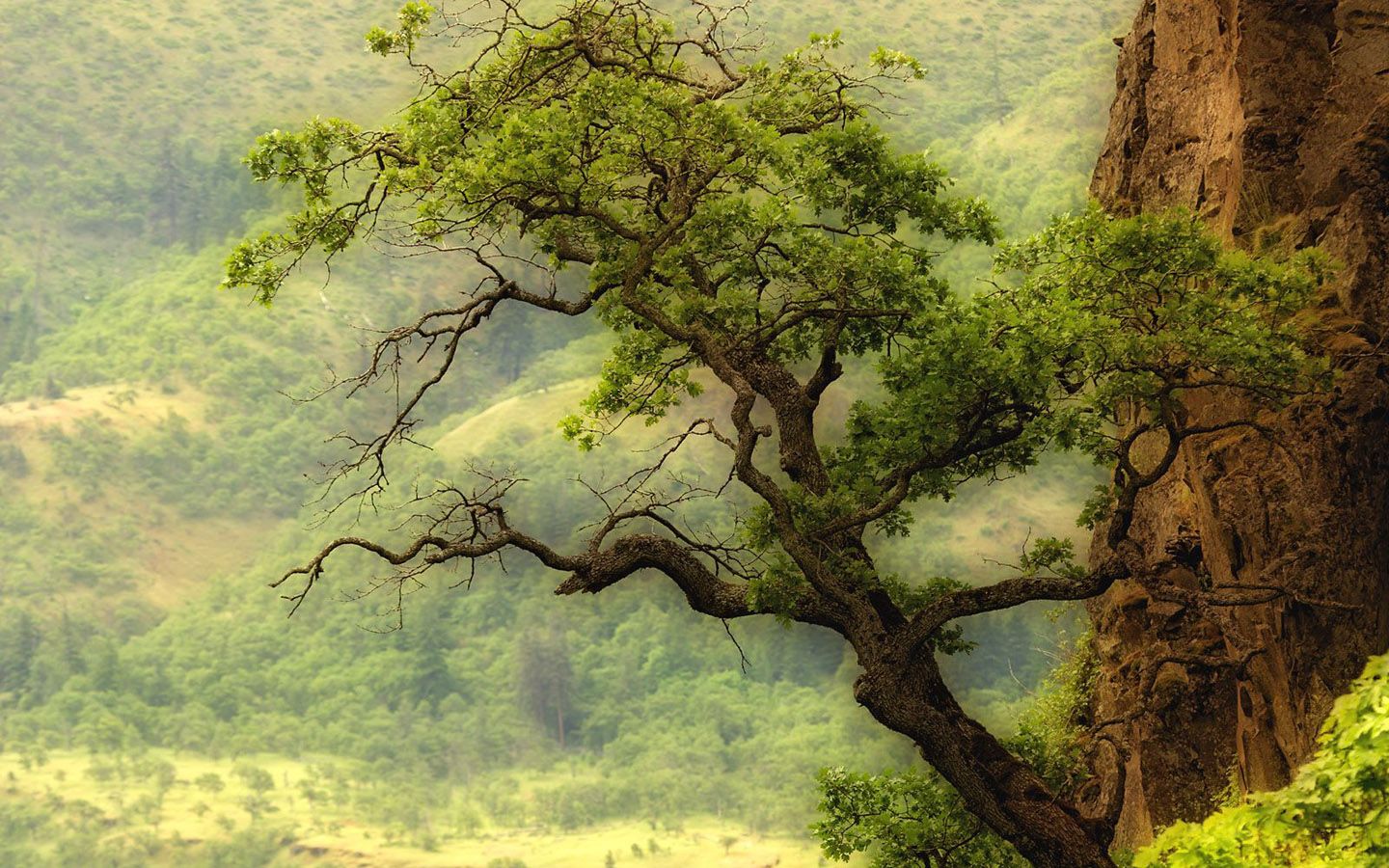 合适就最好 19寸宽屏壁纸精选集 合适就最好!19寸宽屏壁纸精选集 创意壁纸