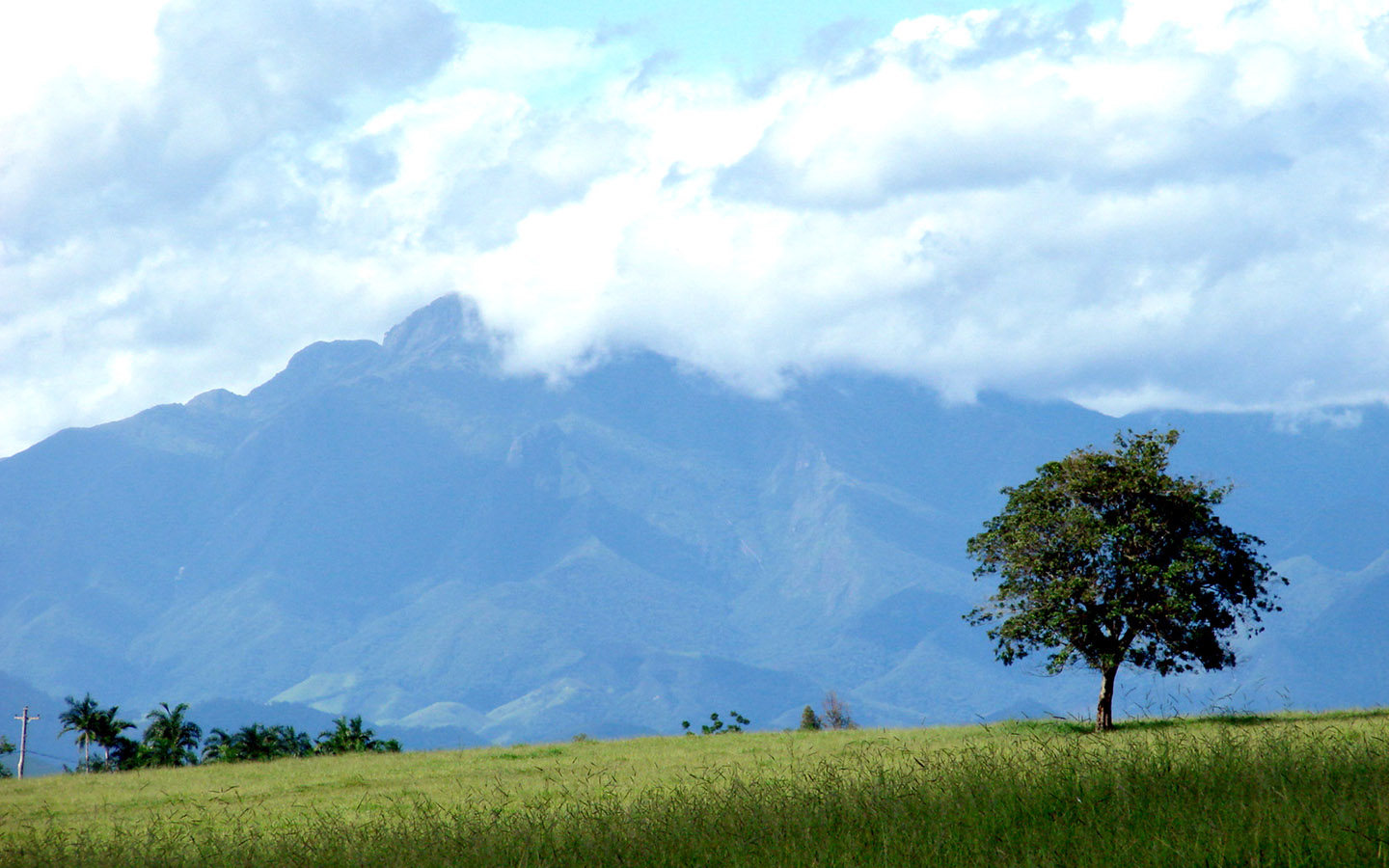 统宽屏壁纸bliss系列壁纸