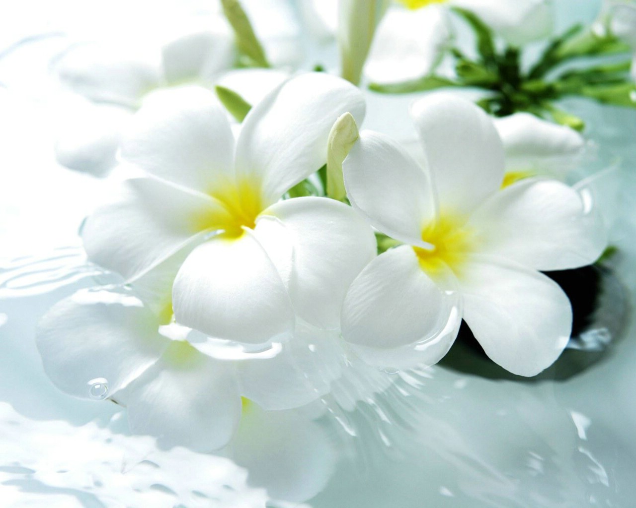 壁纸1280×1024浴室温馨家居摄影壁纸壁纸,浴