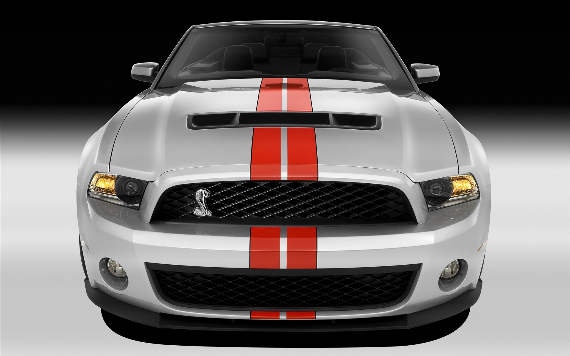 1200福特野马GT500壁纸壁纸,福特野马GT500壁纸壁纸图片高清图片