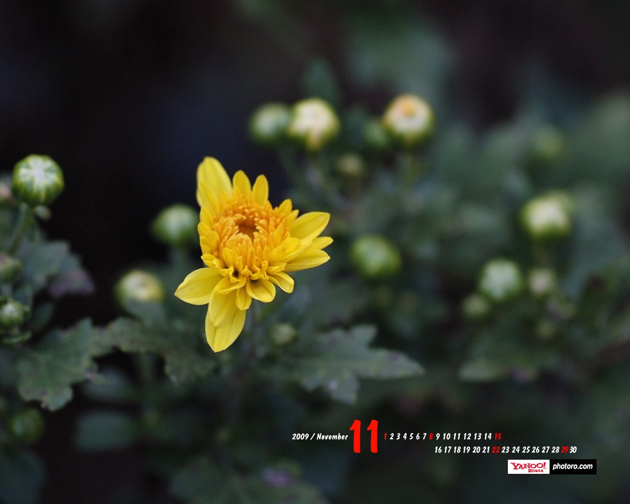 1024雅虎社区,小草ios客户端,小草 app下载,yahoo groups